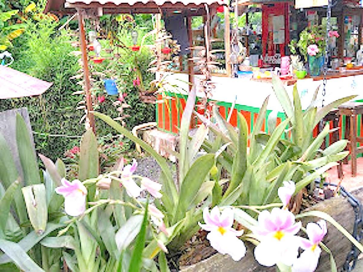 סאלנטו Hostal Estrella De Agua מראה חיצוני תמונה