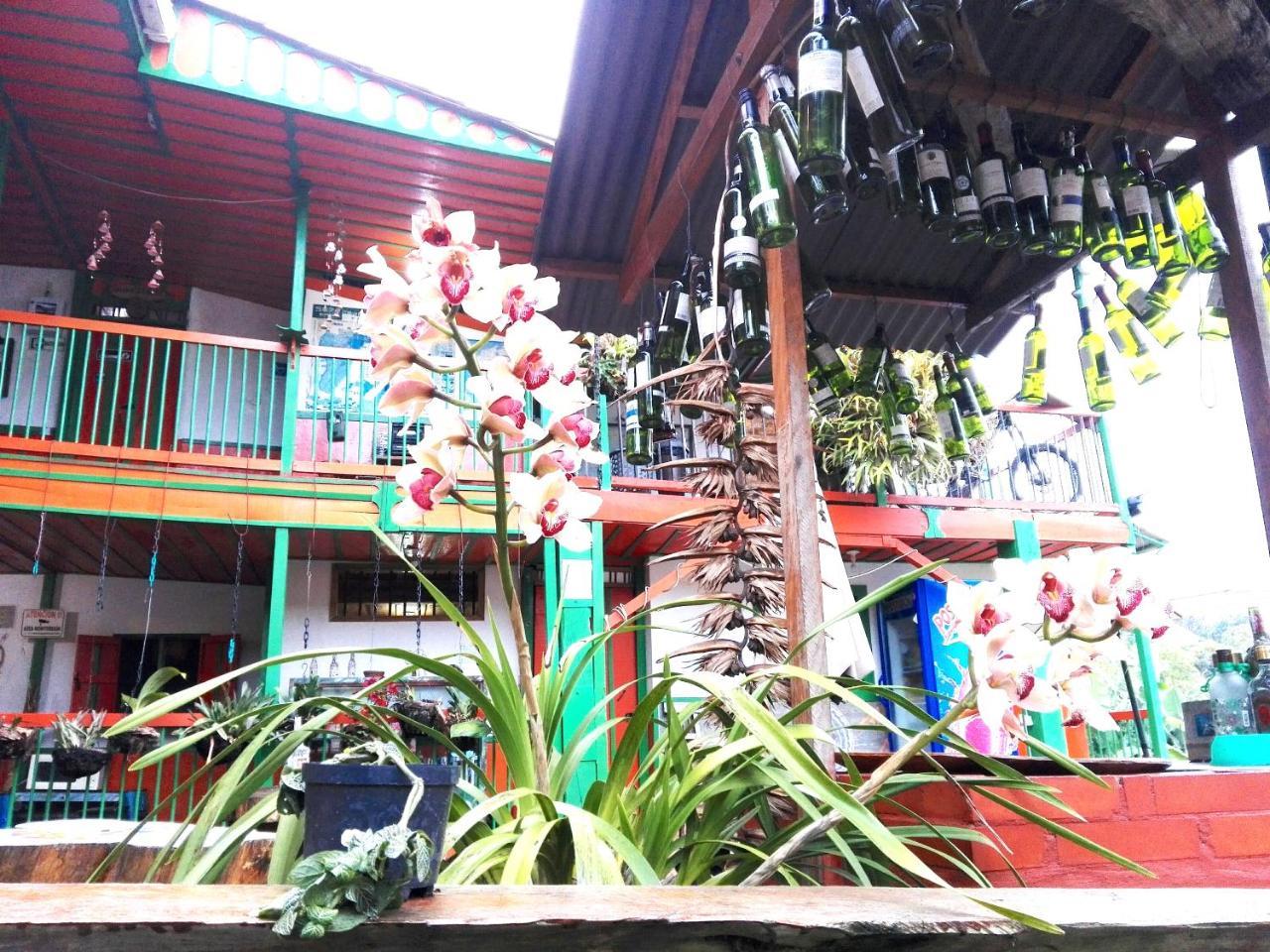 סאלנטו Hostal Estrella De Agua מראה חיצוני תמונה